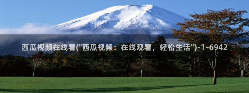 西瓜影视免费观看电视剧大全