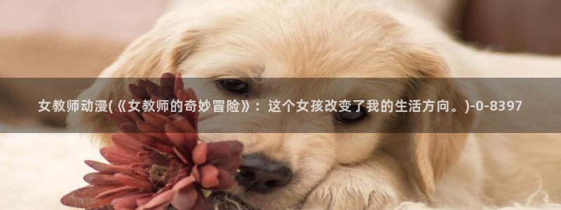 推荐动漫：女教师动漫(《女教师的奇妙冒险》：这个女孩改变了我的生活方向。)
