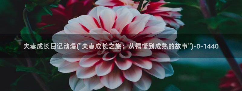 在线动漫：夫妻成长日记动漫(\
