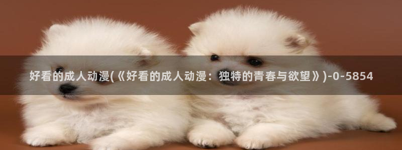 动漫社