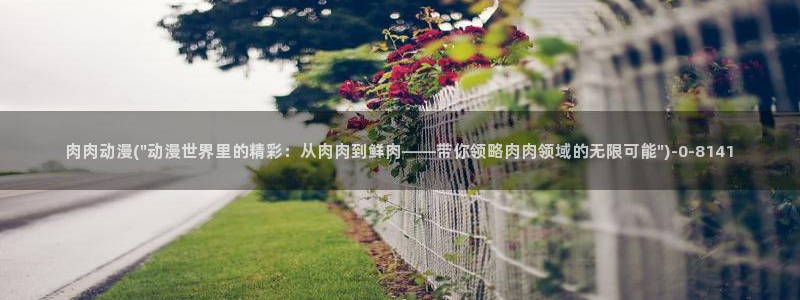 动漫下载